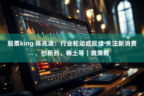 股票king 陈兆凌：行业轮动或延续 关注新消费、创新药、稀土等｜微策略