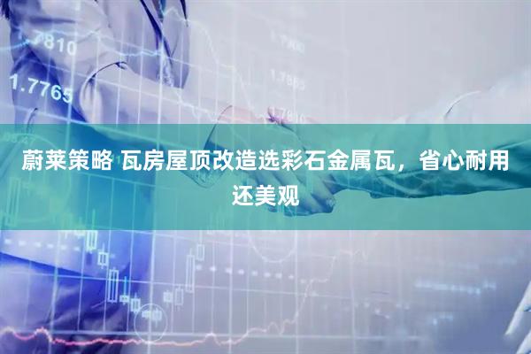 蔚莱策略 瓦房屋顶改造选彩石金属瓦，省心耐用还美观