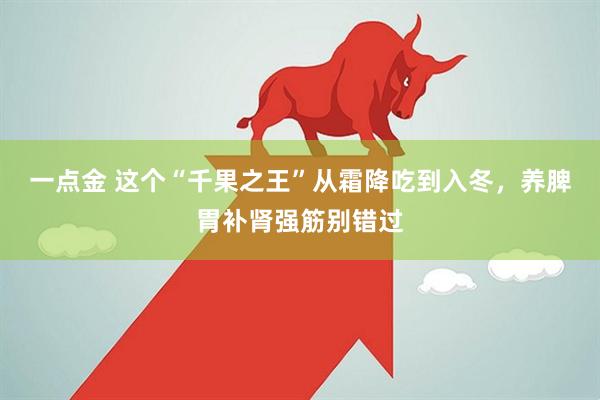 一点金 这个“千果之王”从霜降吃到入冬，养脾胃补肾强筋别错过