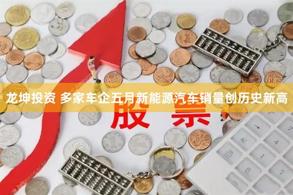 龙坤投资 多家车企五月新能源汽车销量创历史新高